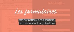 Les formulaires : Les plus