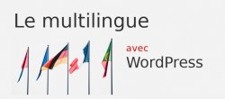 Gratuit : Les solutions multilingues avec WordPress