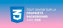 CSS avancé : Tout savoir sur la propriété BACKGROUND