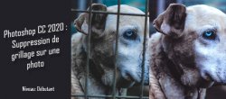 Retouche Photoshop CC - Suppression d'une grille