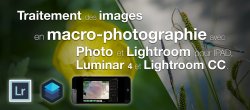 Traitement des images en macro-photographie