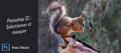 Astuce Photoshop Gratuite - Sélectionner et masquer