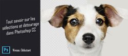 Tout savoir sur les sélections et détourages dans Photoshop CC