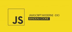 JS moderne, EXO #19, bandeau accepter les cookies