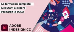 InDesign CC - La formation Complète