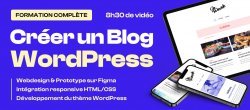 Formation complète : Designer, Intégrer et Développer un Blog WordPress