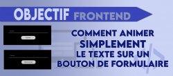 Objectif Frontend. Comment animer simplement le texte sur un bouton de formulaire