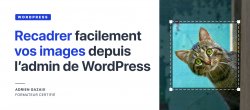 Gratuit : Recadrer facilement vos images depuis l'administration de WordPress