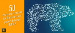50 exercices et astuces sur Illustrator pour gagner du temps