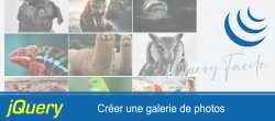 jQuery Facile Application #3/5 : Créer une galerie de photos