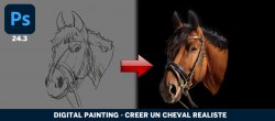 Digital Painting - Cheval réaliste