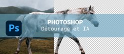 Gratuit : Le détourage à l'ère de l'IA dans Photoshop