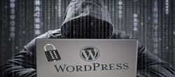 Cybersécurité WordPress : Sécuriser Gratuitement Votre Site en 1 heure