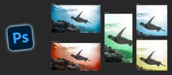 Photoshop : boostez votre productivité grâce aux plans de travail !