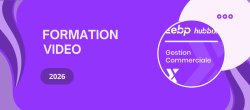EBP HUBBIX Gestion Commerciale 2026 : Le Guide Complet pour une Gestion Efficace des Articles et des Clients