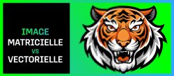 Gratuit Comprendre le Matriciel vs le Vectoriel