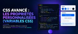 Variables CSS et design tokens : une charte graphique que vous changez en quelques lignes