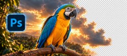 Détourage et sélection dans Photoshop : choisir le bon outil, de la plume à l'IA