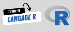 Langage R et RStudio pour débutants : de l'installation aux premiers graphiques