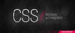 Apprenez les bases du CSS pour intégrer votre site web
