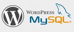 Interagir avec la base de données depuis WordPress