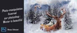 Photo-manipulation hivernale sur Photoshop : Winter is beautiful