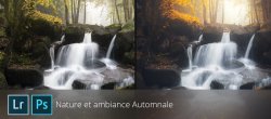 Nature et ambiance automnale