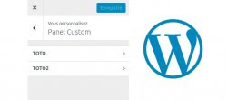 A la découverte de l'API Customize de WordPress
