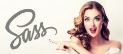 Du CSS dopé avec Sass : Formation complète