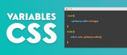 Gratuit : Créer des variables en CSS