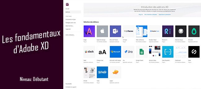 Les fondamentaux d'Adobe XD