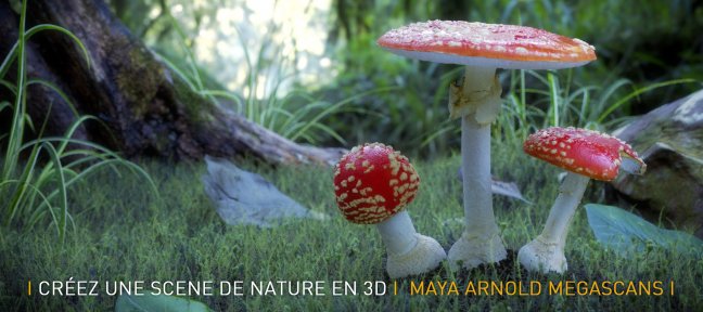 Créer un scène 3D avec Megascans, Maya et Arnold  !