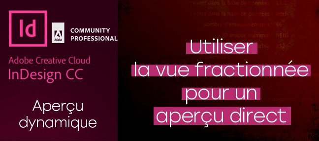 Indesign gratuit : La vue fractionnée