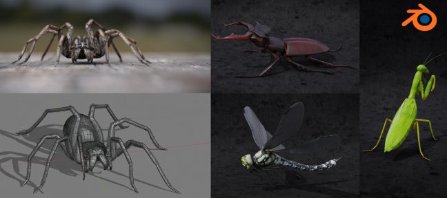 Maitrisez Blender - Création d'insectes et d'araignées