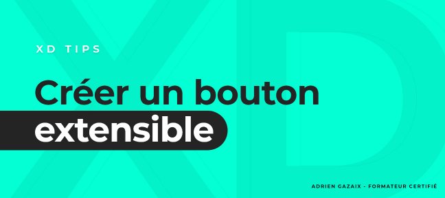 Gratuit Comment créer un bouton extensible sur Adobe XD