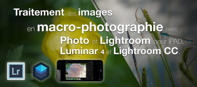 Traitement des images en macro-photographie