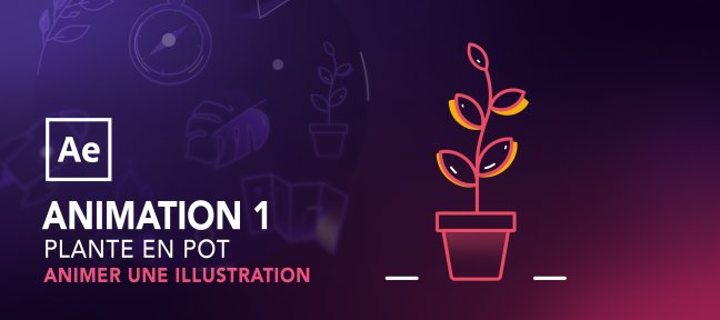 Animer une illustration avec After Effects : Plante en pot