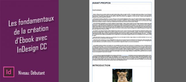 Les fondamentaux de la création d'Ebook avec InDesign CC