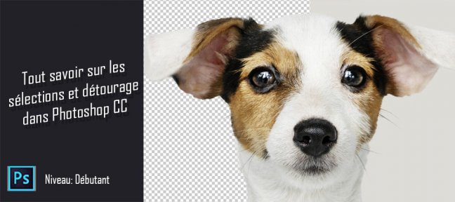 Tout savoir sur les sélections et détourages dans Photoshop CC