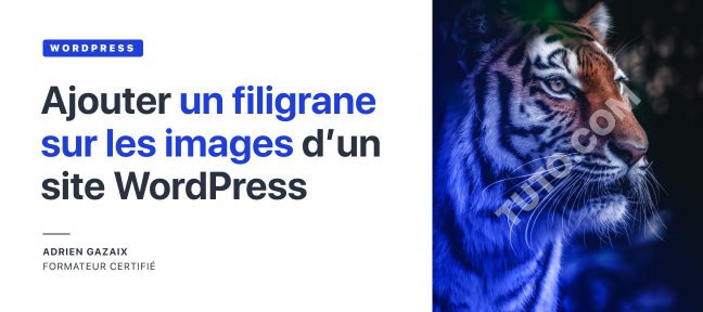 Gratuit : Comment ajouter un filigrane sur les images d'un site WordPress ?