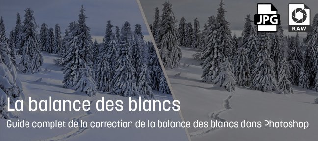 La correction de la balance des blancs dans Photoshop : Guide Complet