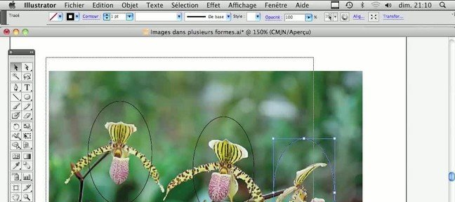 Incorporer Une Image Dans Une Forme Illustrator