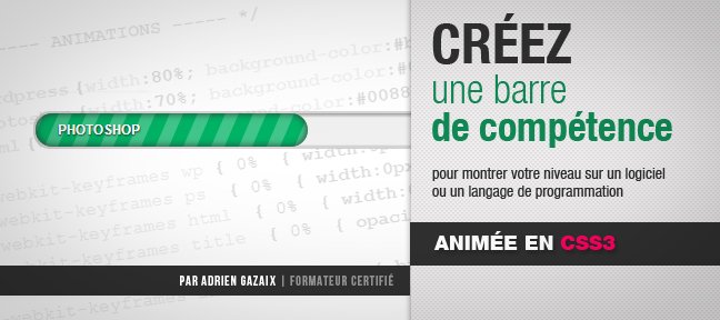 Créez une barre de compétence animée en CSS3