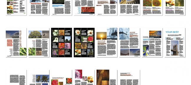 Planche ou chemin de fer depuis un doc InDesign