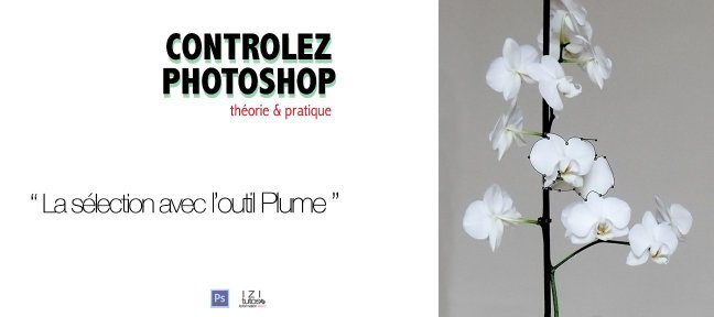 Contrôlez l'outil Plume