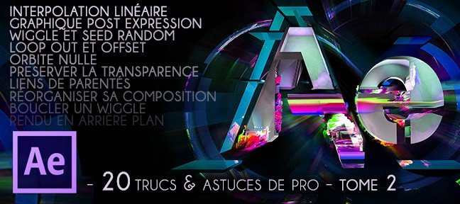 20 Trucs & Astuces de Pro - Tome 2