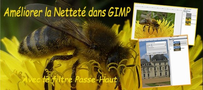 Le Filtre Passe-Haut et la Netteté dans GIMP