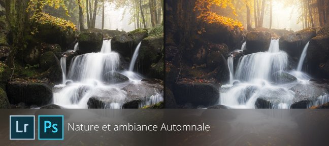 Nature et ambiance automnale