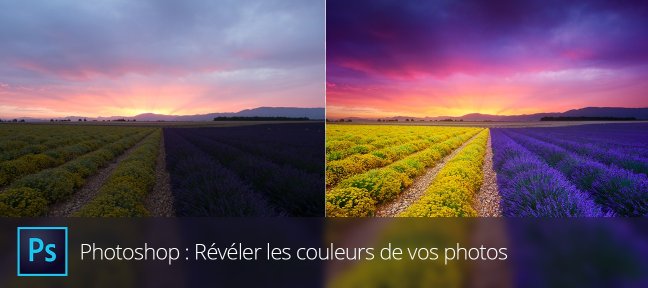 Révélez les couleurs de vos photos