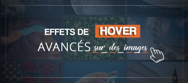 Effets de hover avancés sur des images